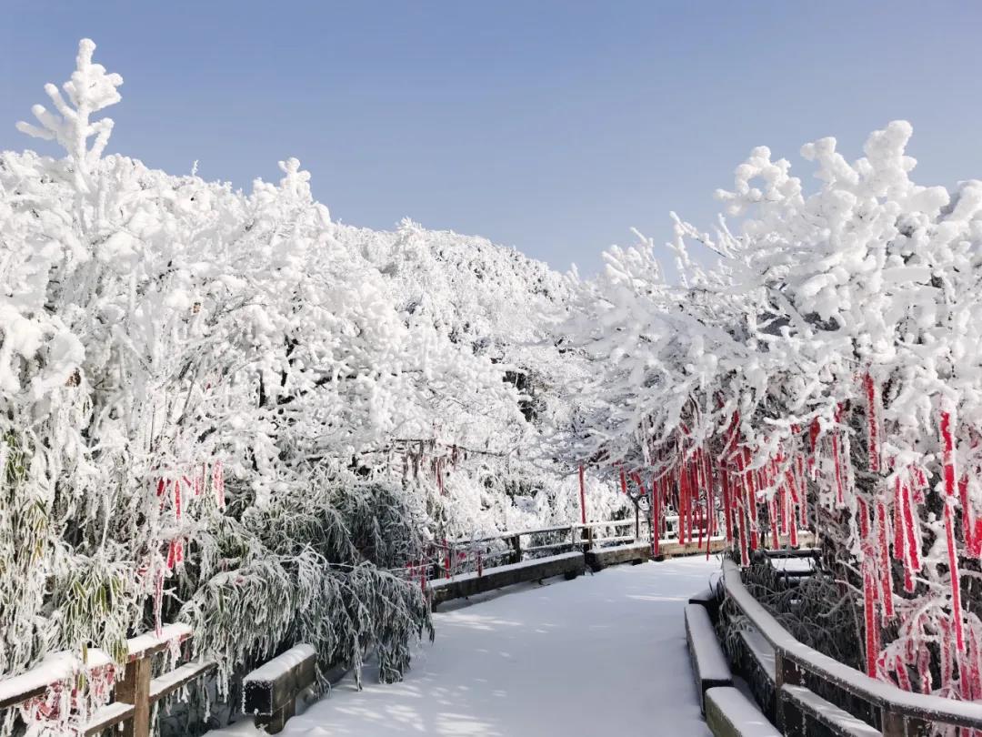 攻略雪雪雪重庆金佛山下雪了周末耍雪走起